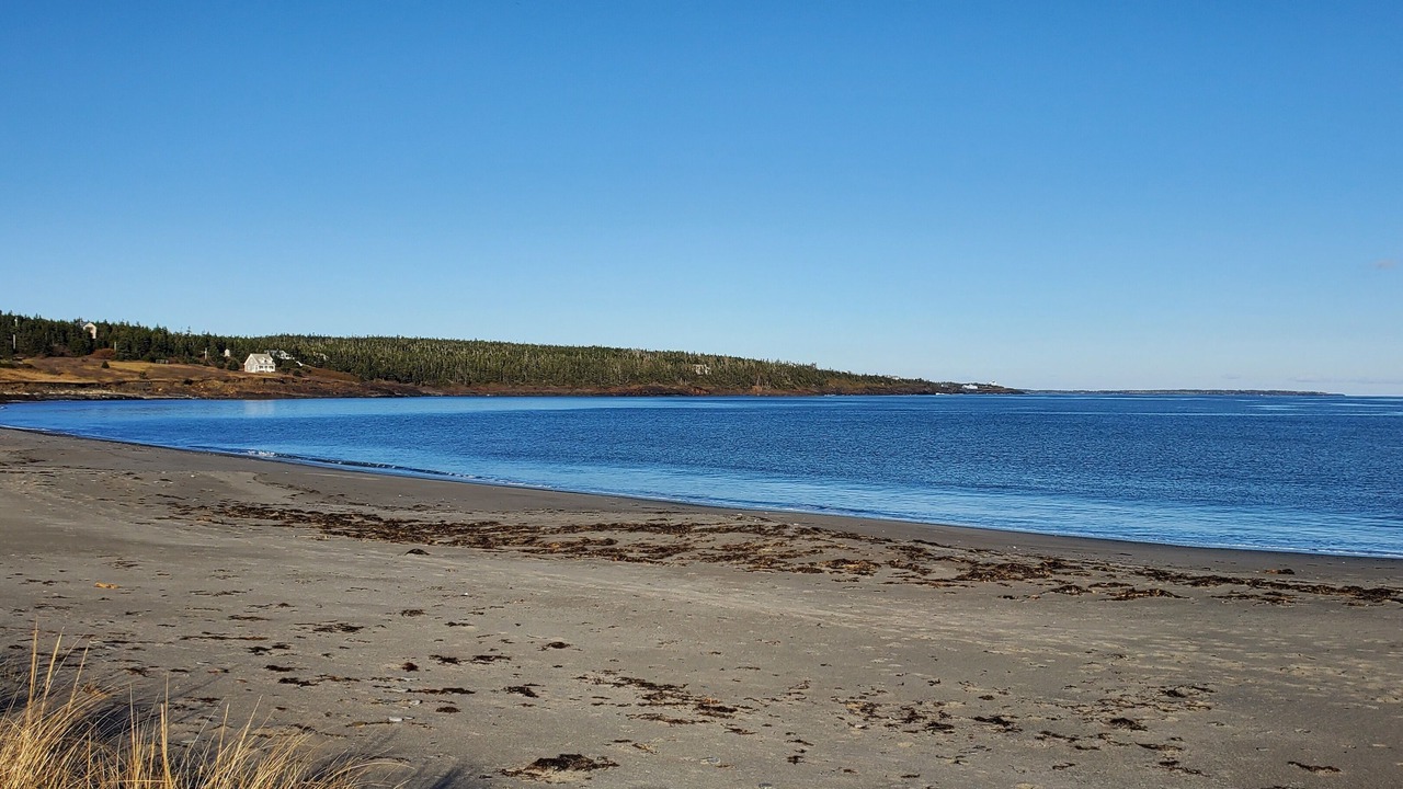 Photo of Others in Kingsburg