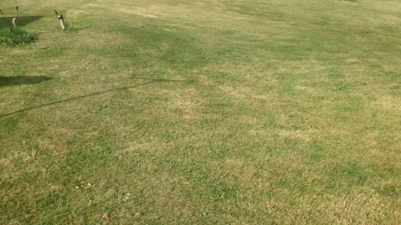 Photo of Others in Saint-Vivien-de-Medoc