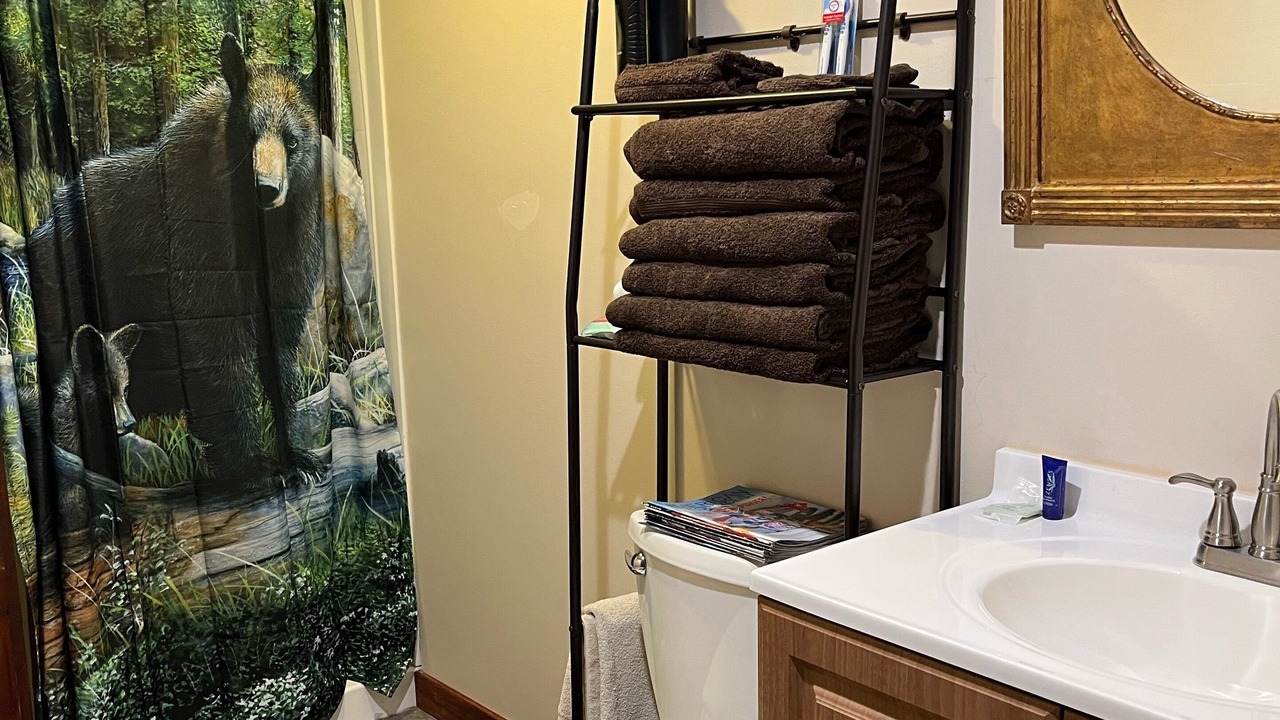 Photo of Bathroom in Sabinsville