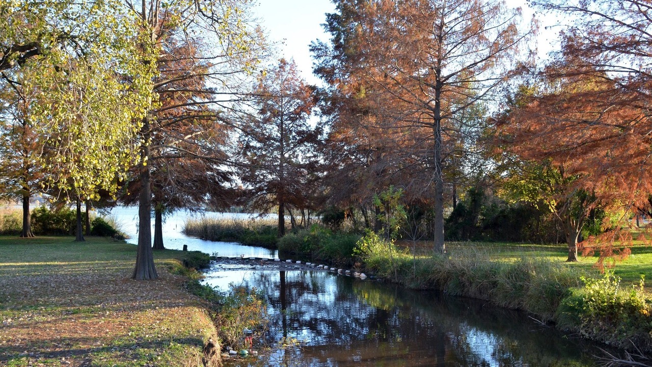 Photo of Outdoor in Dallas