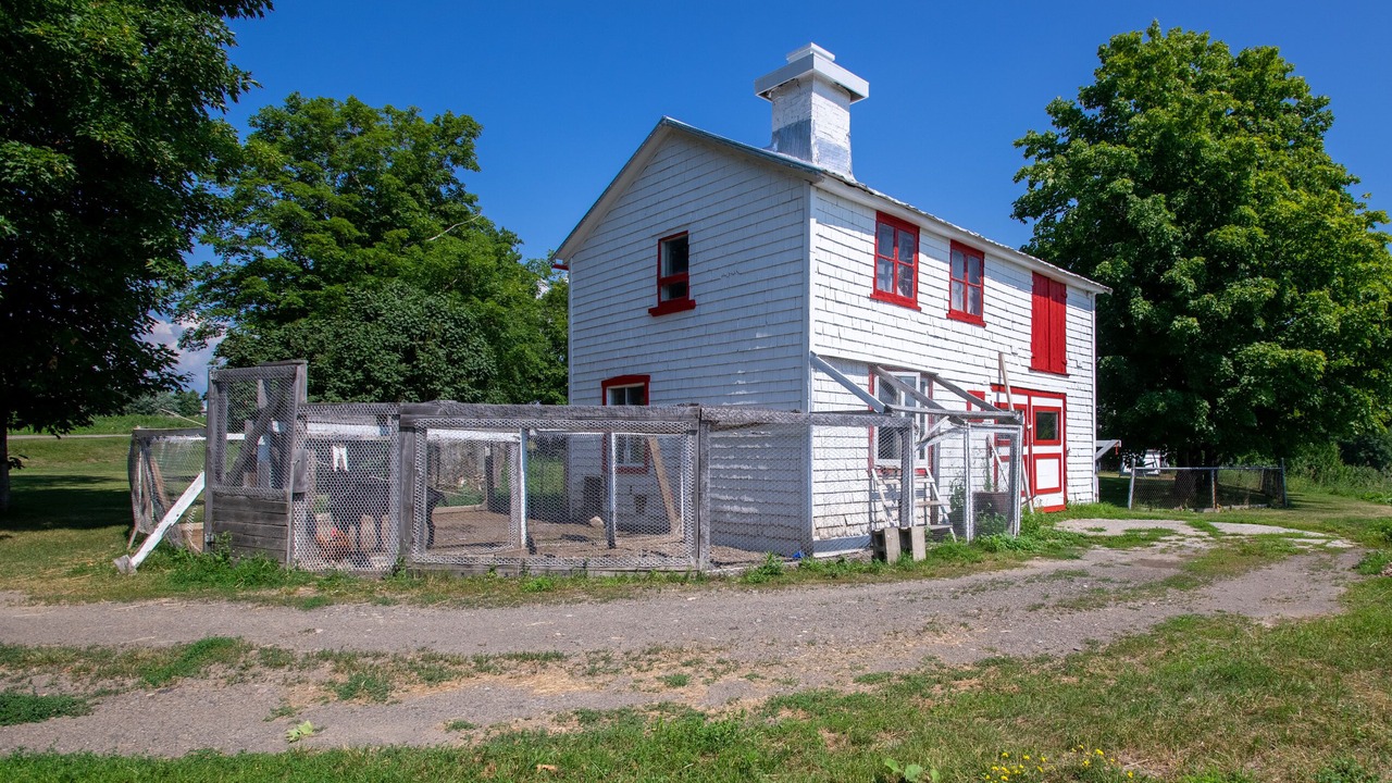 Photo of Outdoor in St-Francois-de-l'Ile-d'Orleans