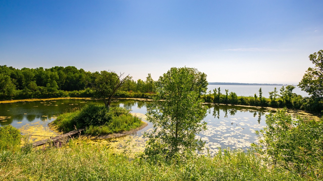 Photo of Outdoor in St-Francois-de-l'Ile-d'Orleans