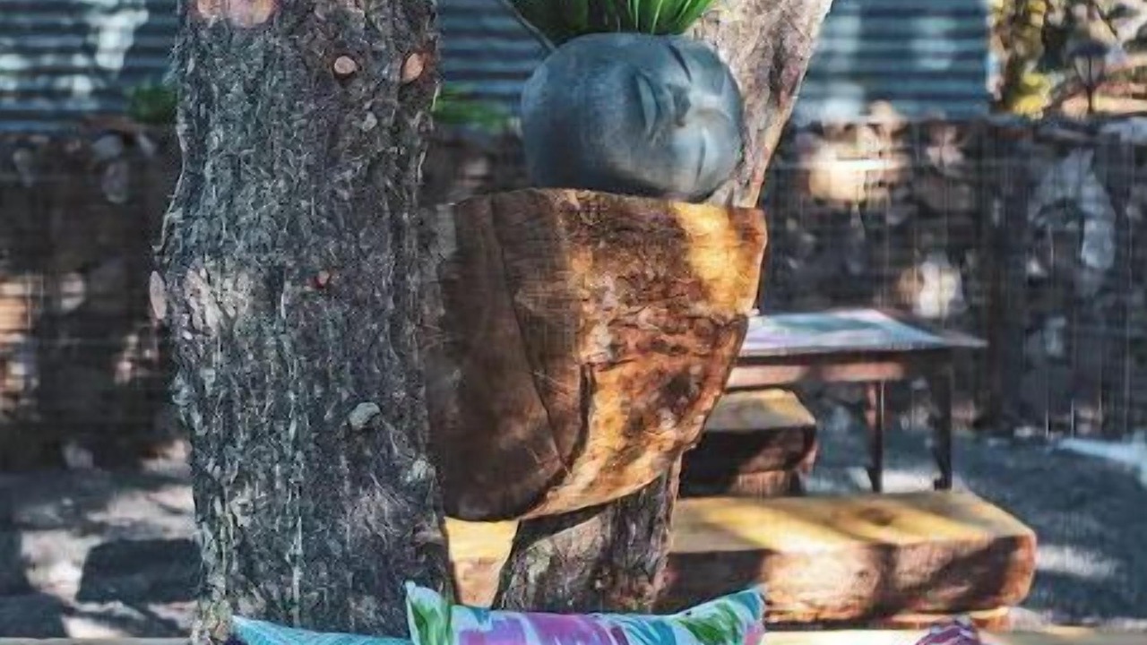Photo of Outdoor in Nogal