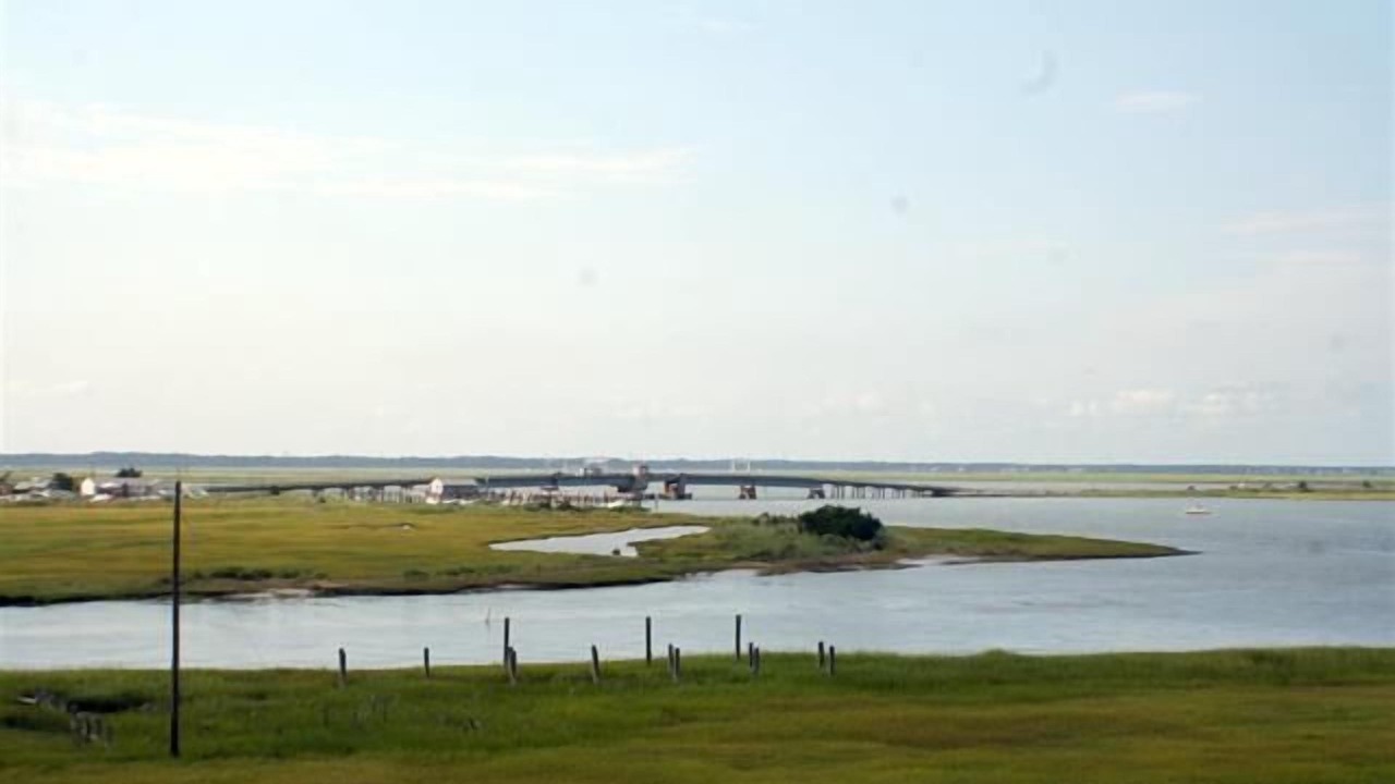 Photo of Others in Anglesea