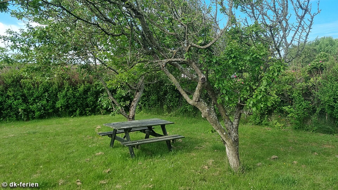 Photo of Outdoor in Slette Strand
