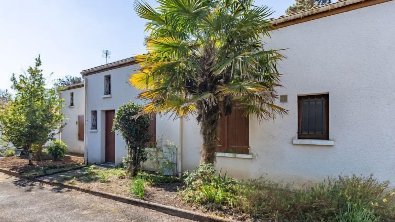 Photo of Others in Meschers-sur-Gironde