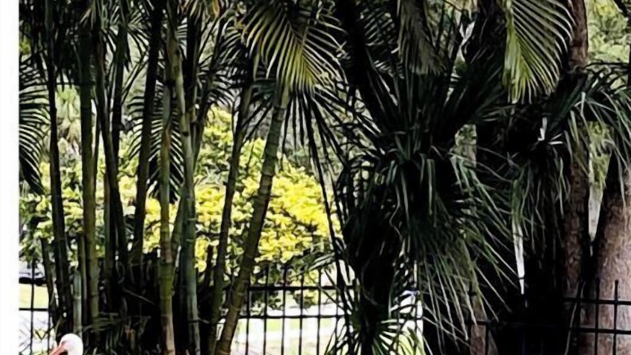 Photo of Outdoor in Lake Mary