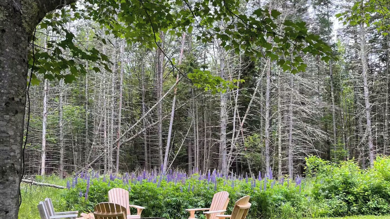 Photo of Outdoor in Town Hill