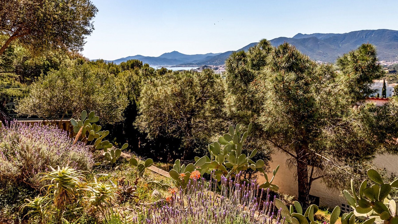 Photo of Outdoor in Llanca