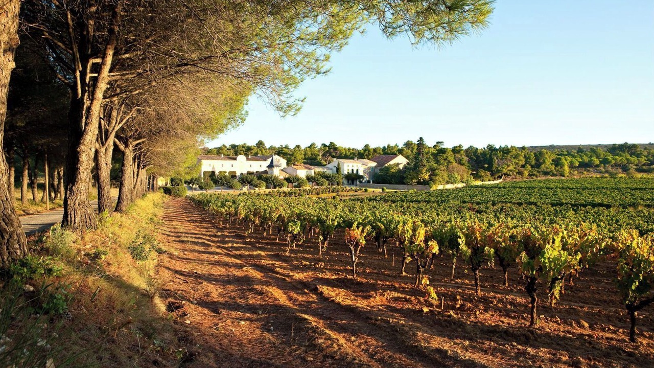 Photo of Outdoor in Fleury