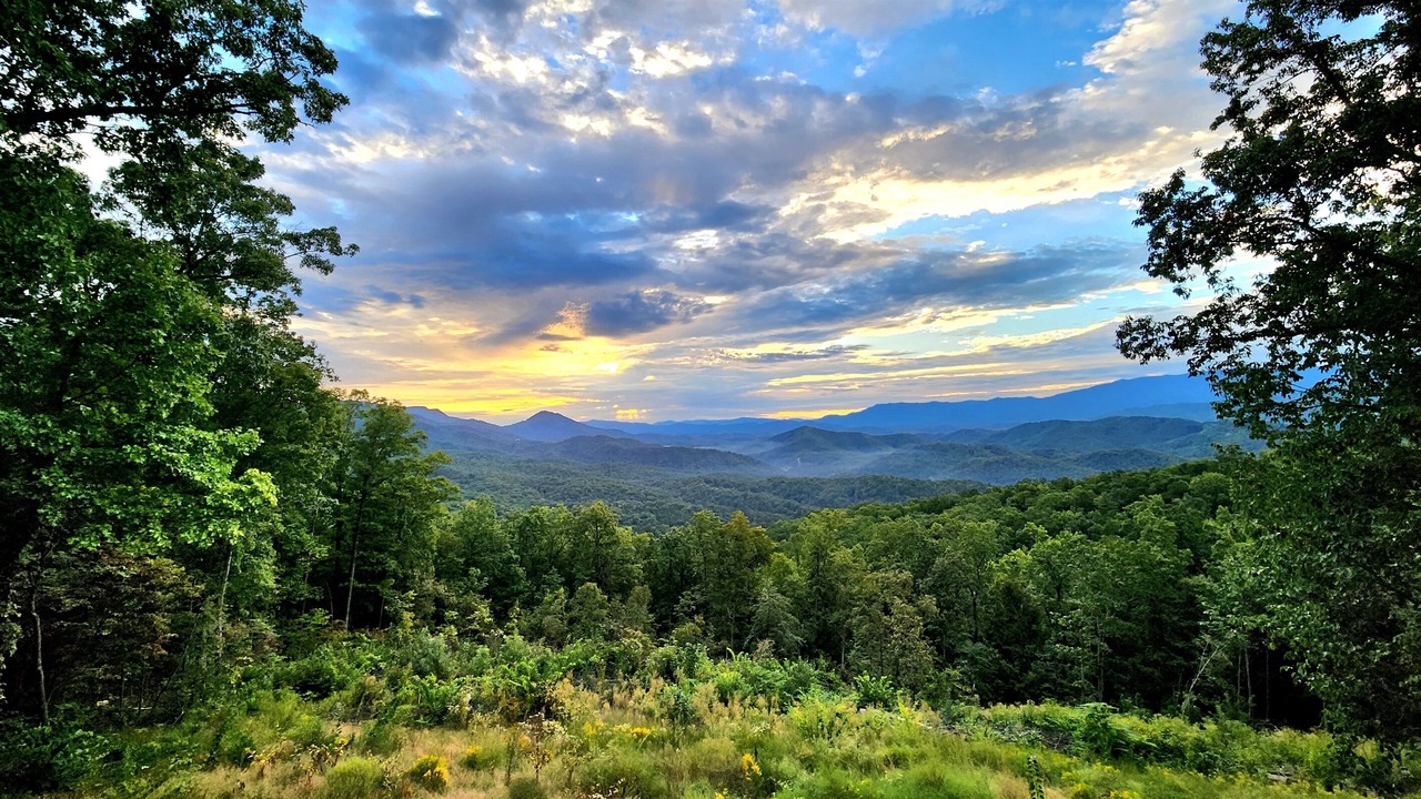 Photo of Others in Sevierville
