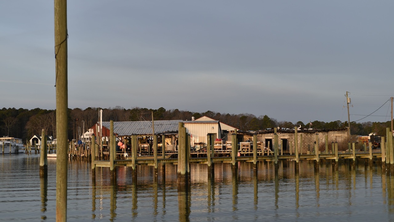 Photo of Others in Reedville