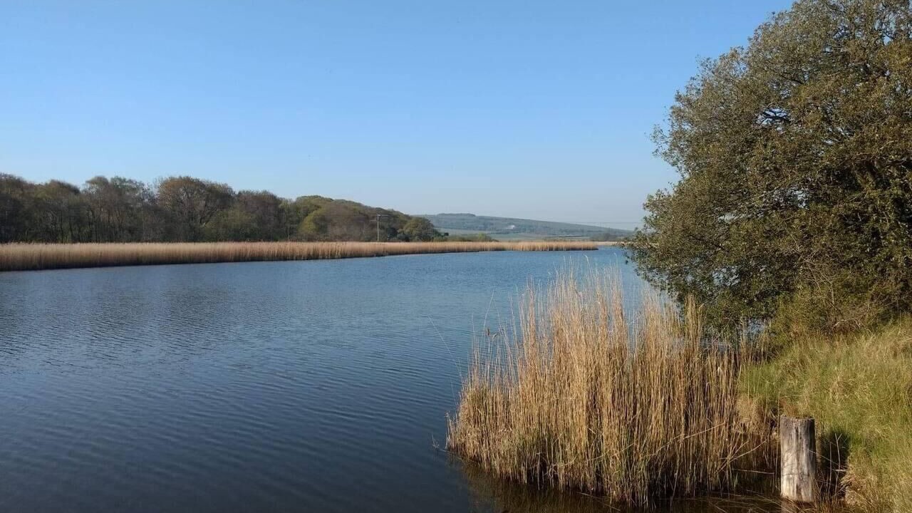 Photo of Others in Ryde