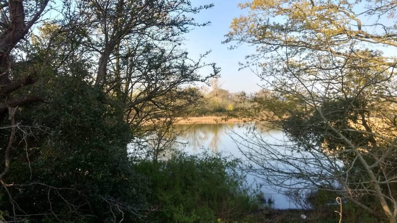 Photo of Others in Ryde