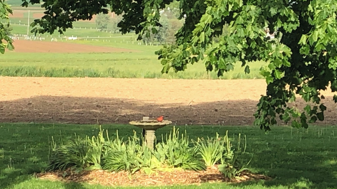 Photo of Others in Paradise