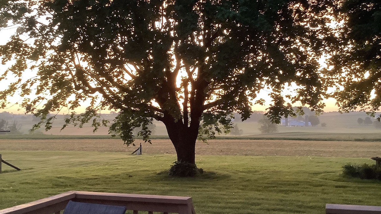 Photo of Outdoor in Paradise