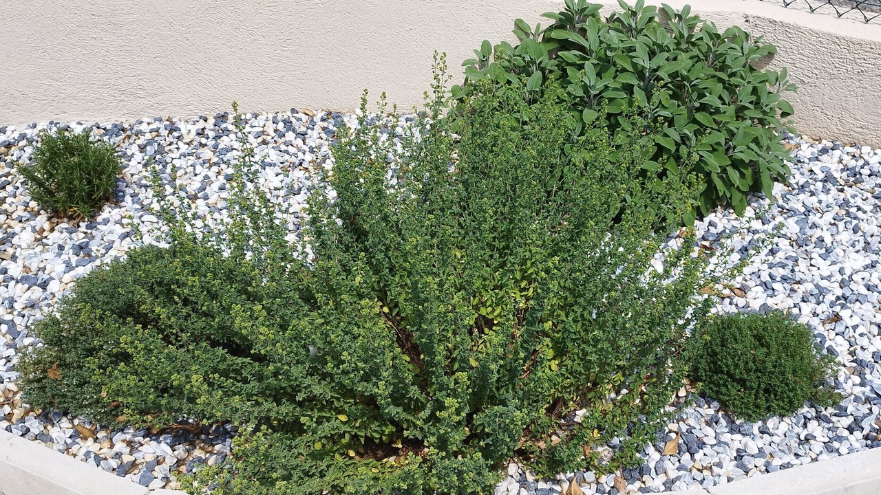 Photo of Outdoor in Montaleigne