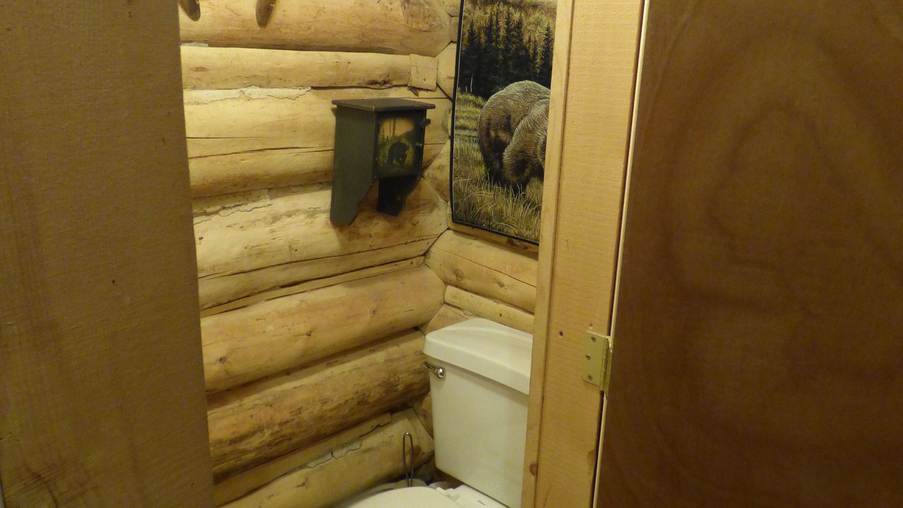 Photo of Bathroom in Cooke City-Silver Gate