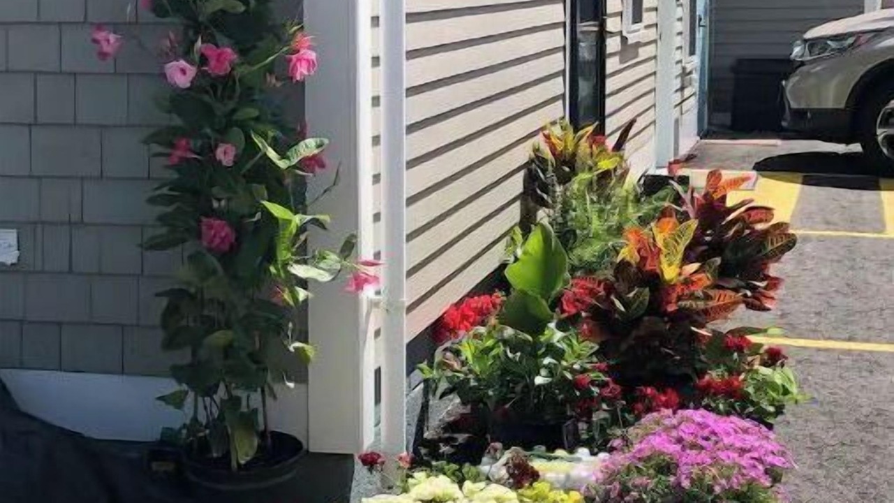 Photo of Outdoor in Kennebunk