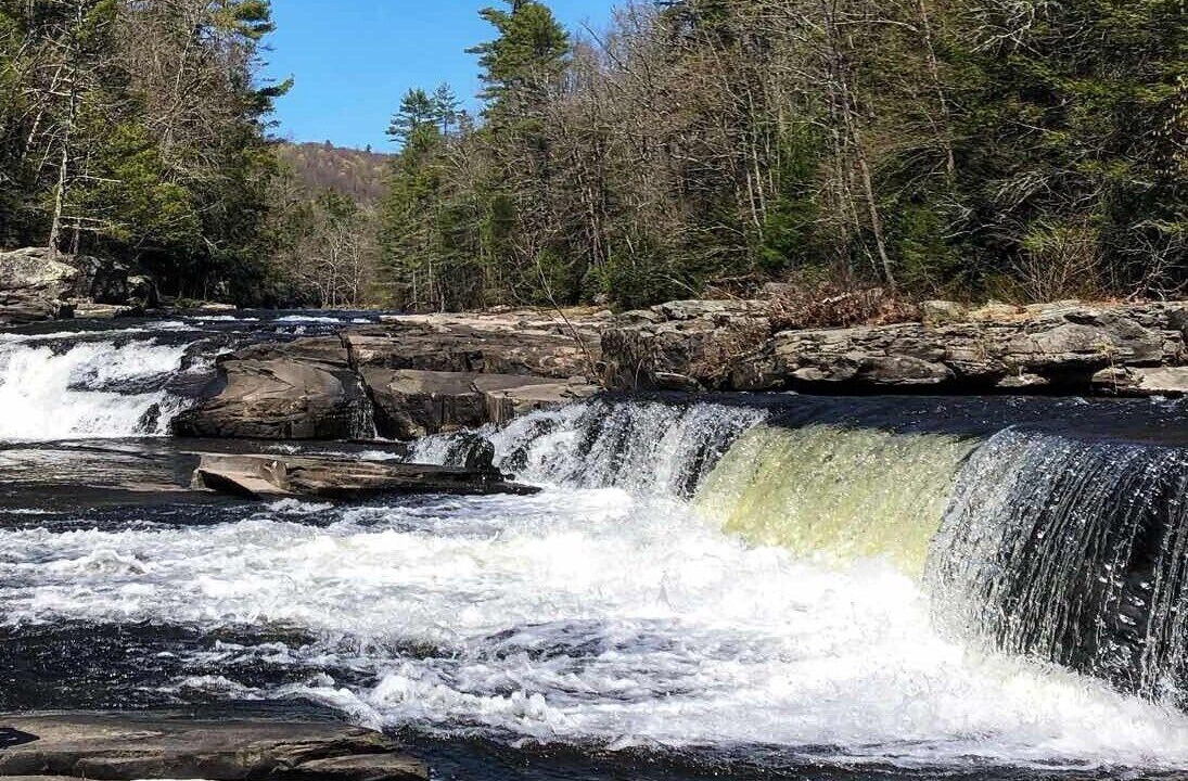 Photo of Others in Rock Hill