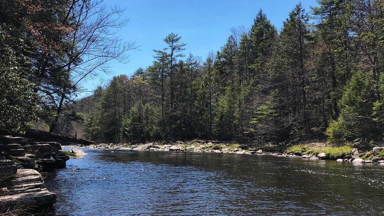 Photo of Others in Rock Hill