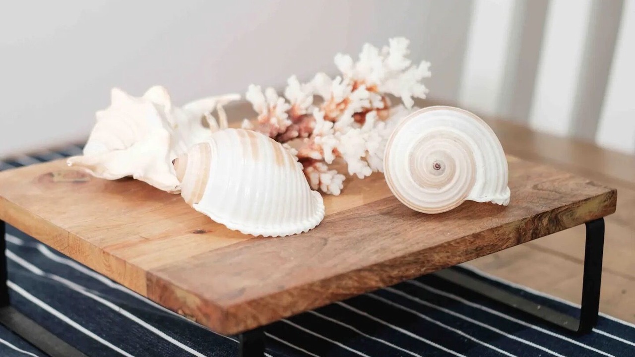 Photo of Others in Terrigal