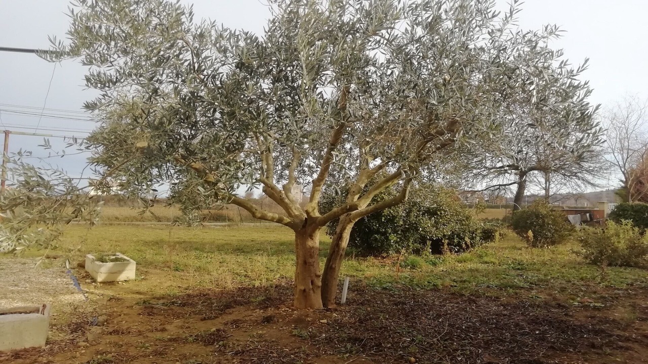 Photo of Outdoor in Saint-Jean-de-Maruejols-et-Avejan