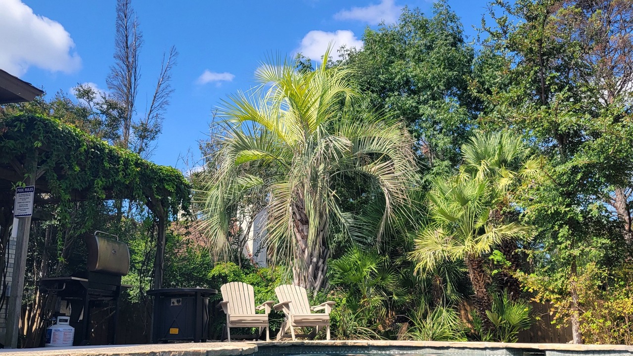 Photo of Outdoor in Stone Oak