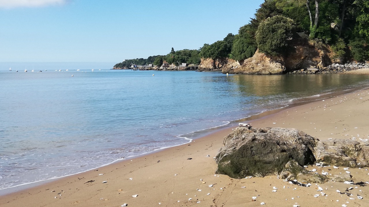 Photo of Others in Saint-Nazaire