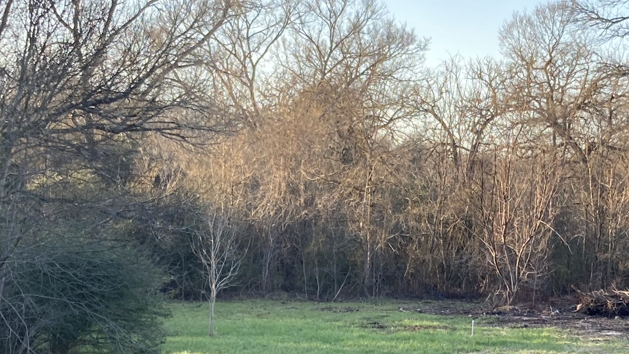 Photo of Others in Bryan