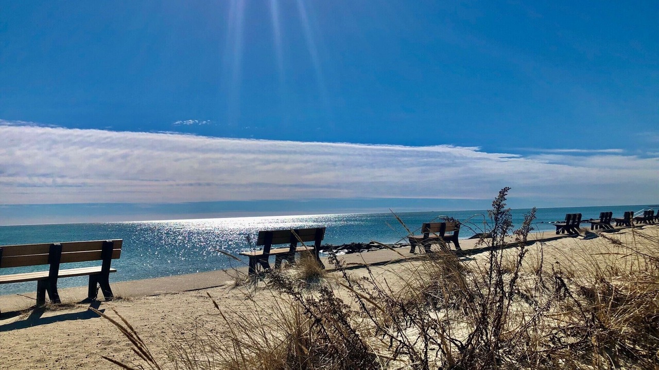 Photo of Others in South Yarmouth