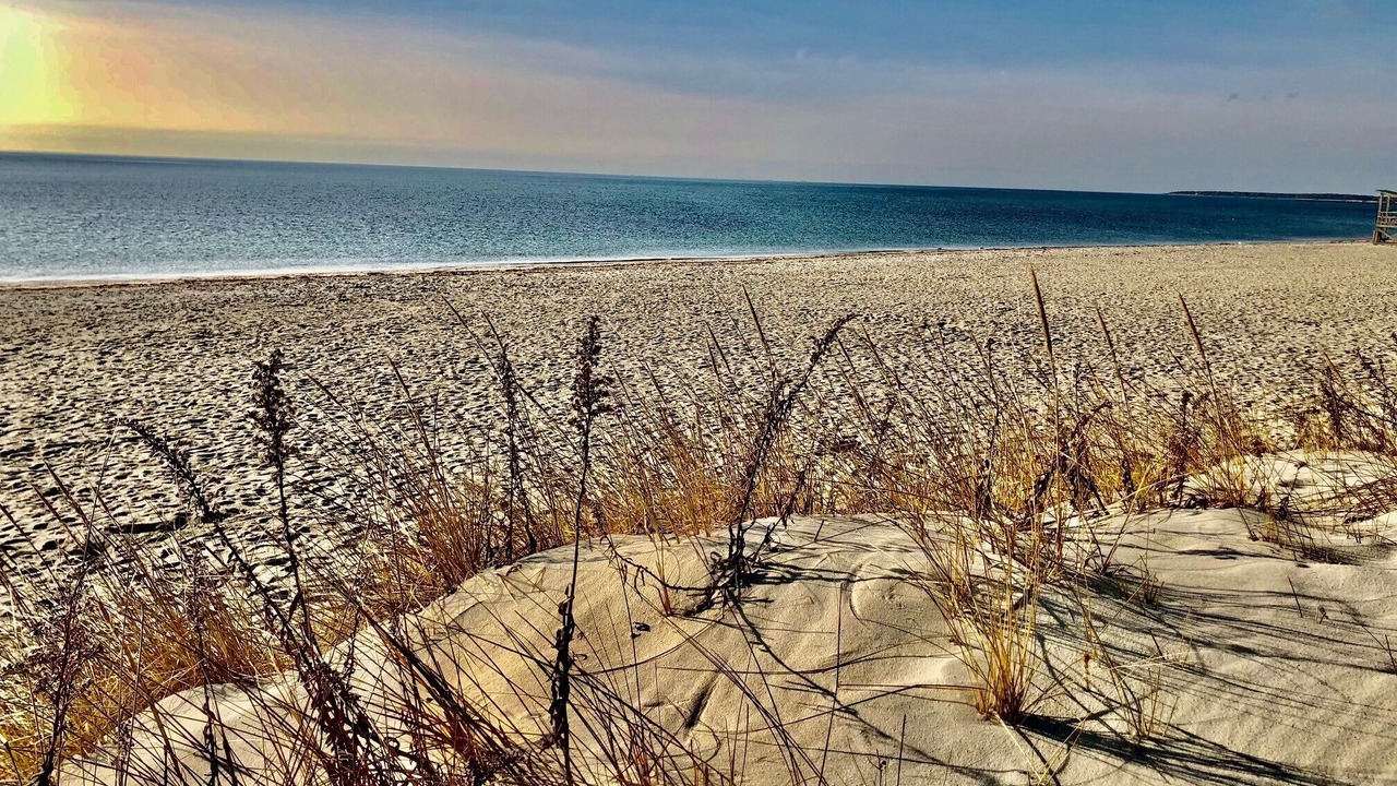 Photo of Others in South Yarmouth