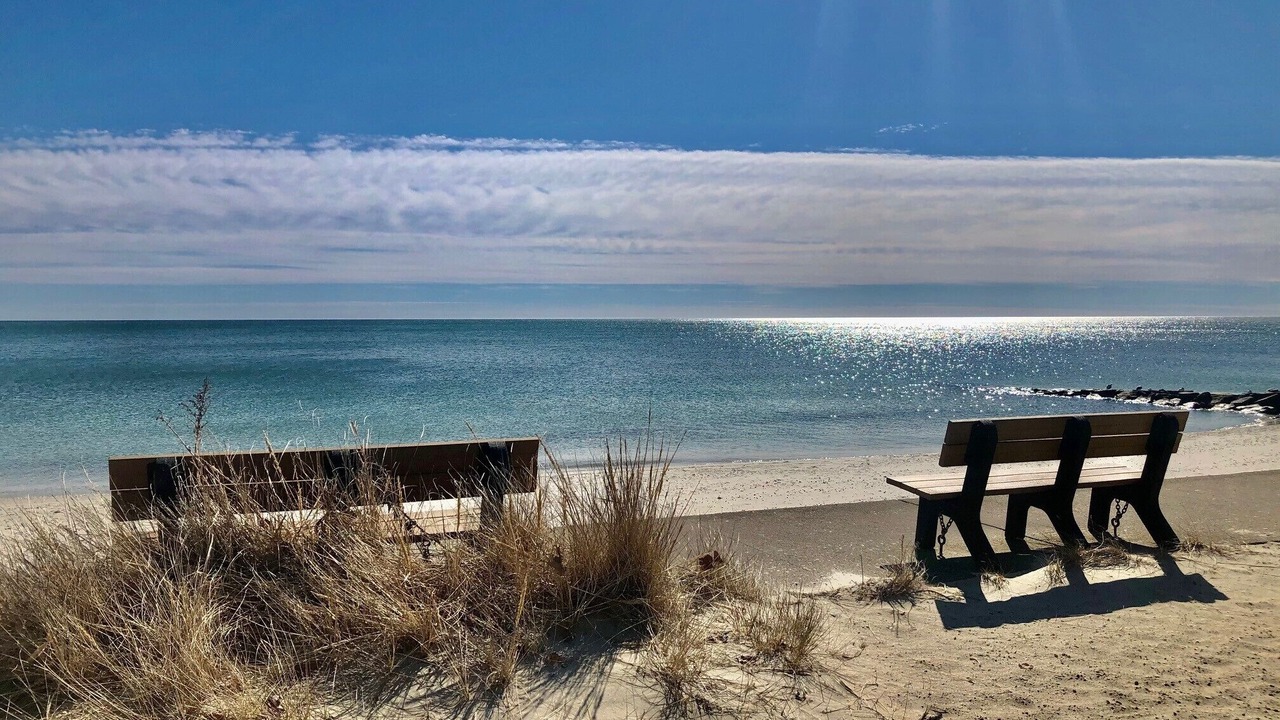 Photo of Others in South Yarmouth