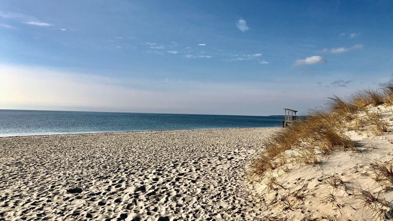 Photo of Others in South Yarmouth