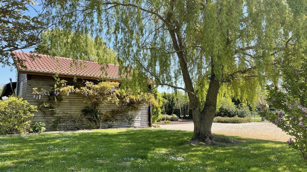 Photo of Outdoor in Lentilles