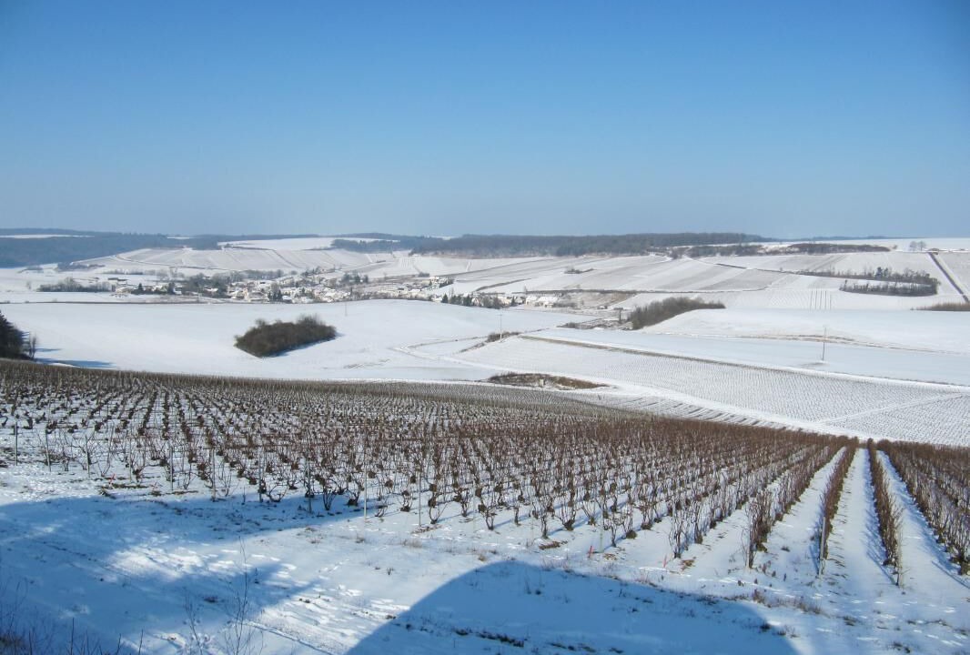 Photo of Others in Noe-les-Mallets