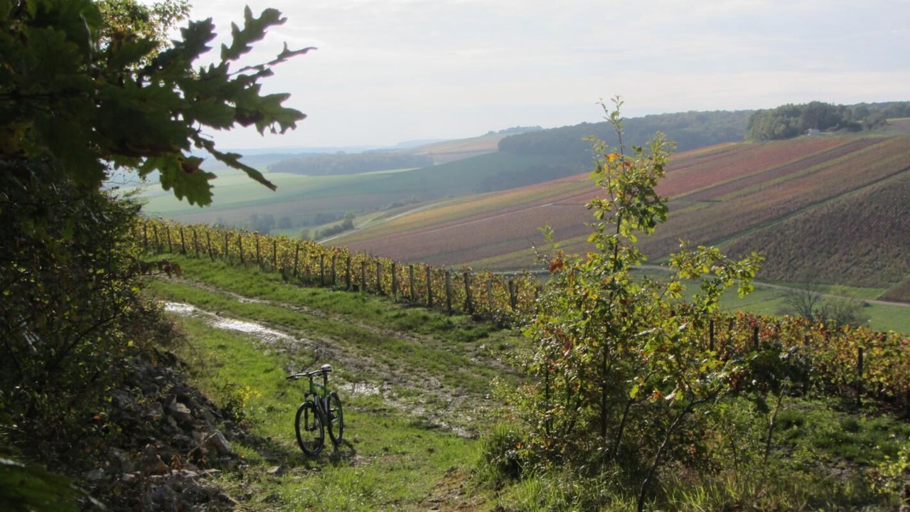Photo of Others in Noe-les-Mallets