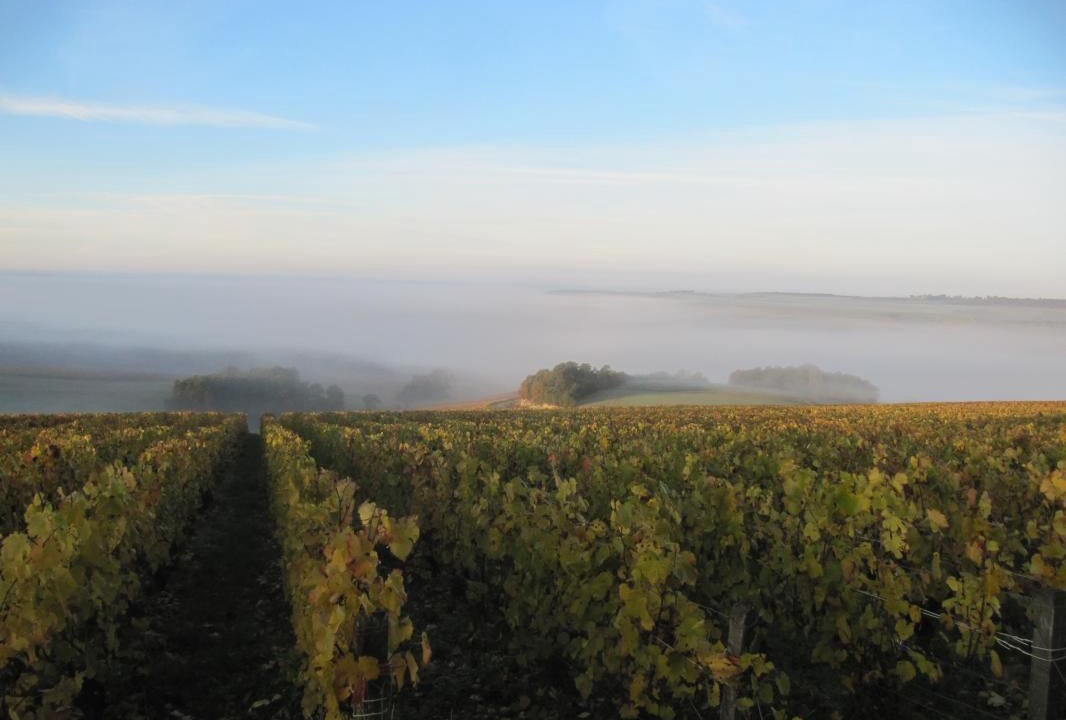 Photo of Others in Noe-les-Mallets