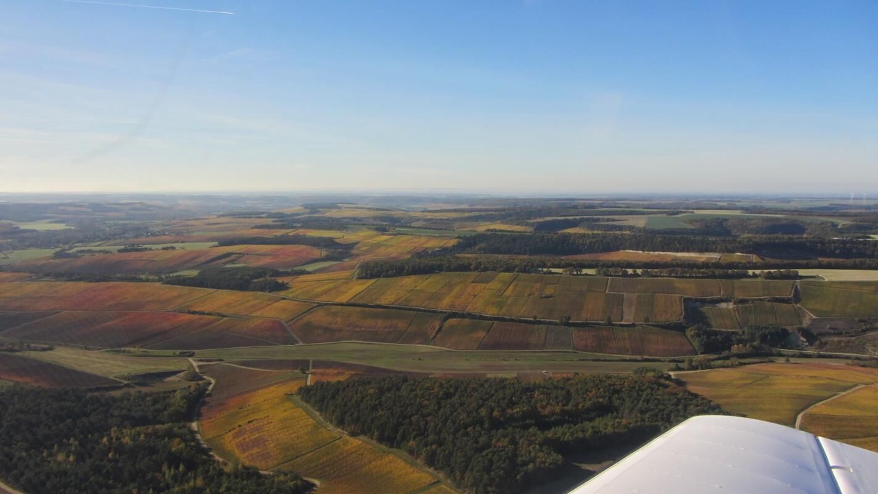 Photo of Others in Noe-les-Mallets