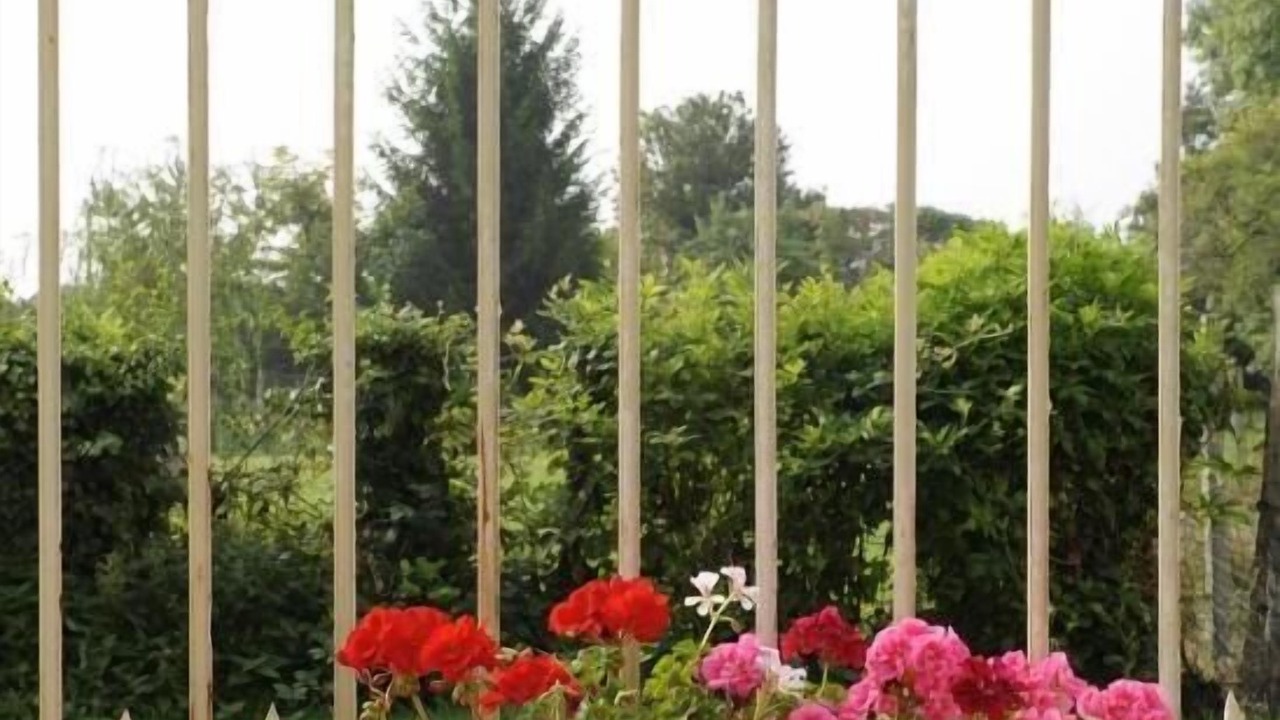 Photo of Others in Bessy