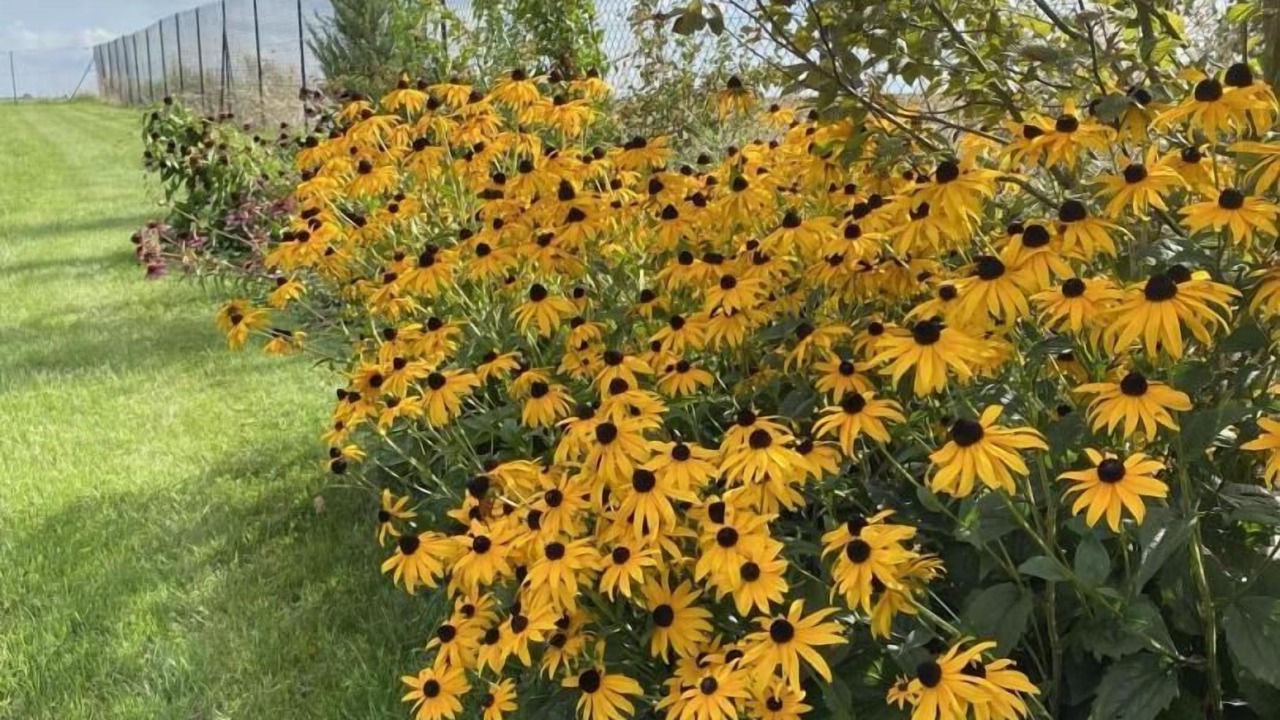 Photo of Outdoor in Magnant