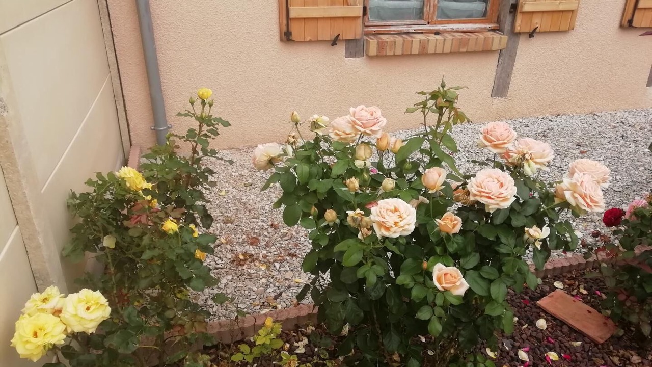 Photo of Outdoor in Barberey-aux-Moines