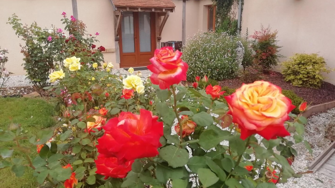 Photo of Outdoor in Barberey-aux-Moines