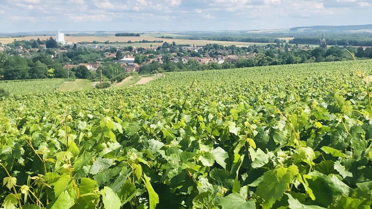 Photo of Outdoor in Villenauxe-la-Grande