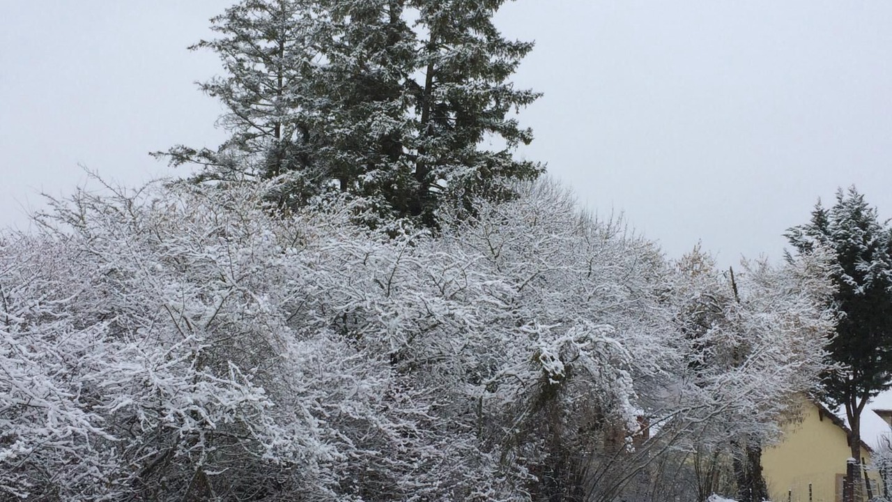 Photo of Outdoor in Balnot-sur-Laignes