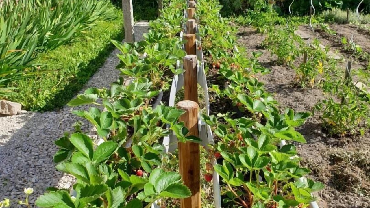 Photo of Outdoor in Celles-sur-Ource