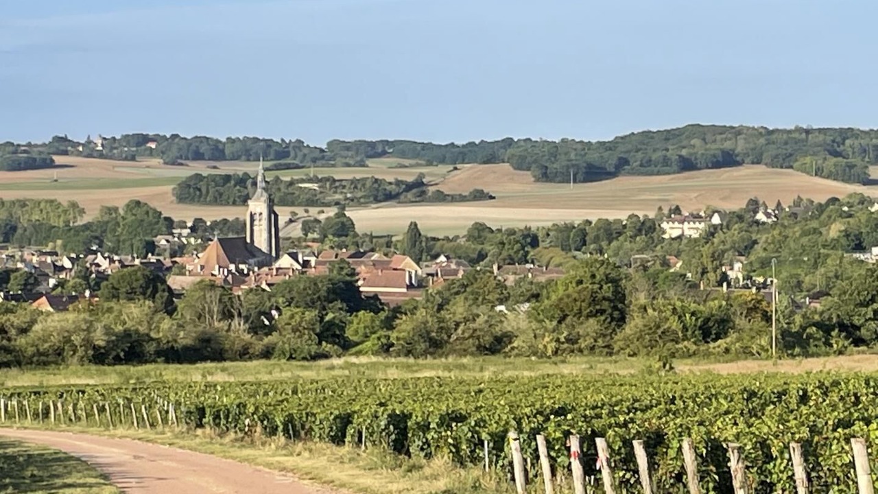 Photo of Others in Villenauxe-la-Grande