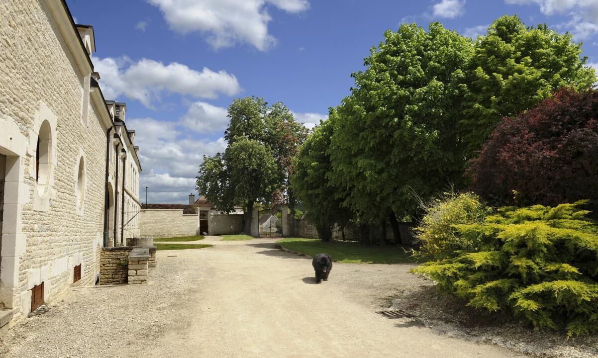 Photo of Outdoor in Les Riceys