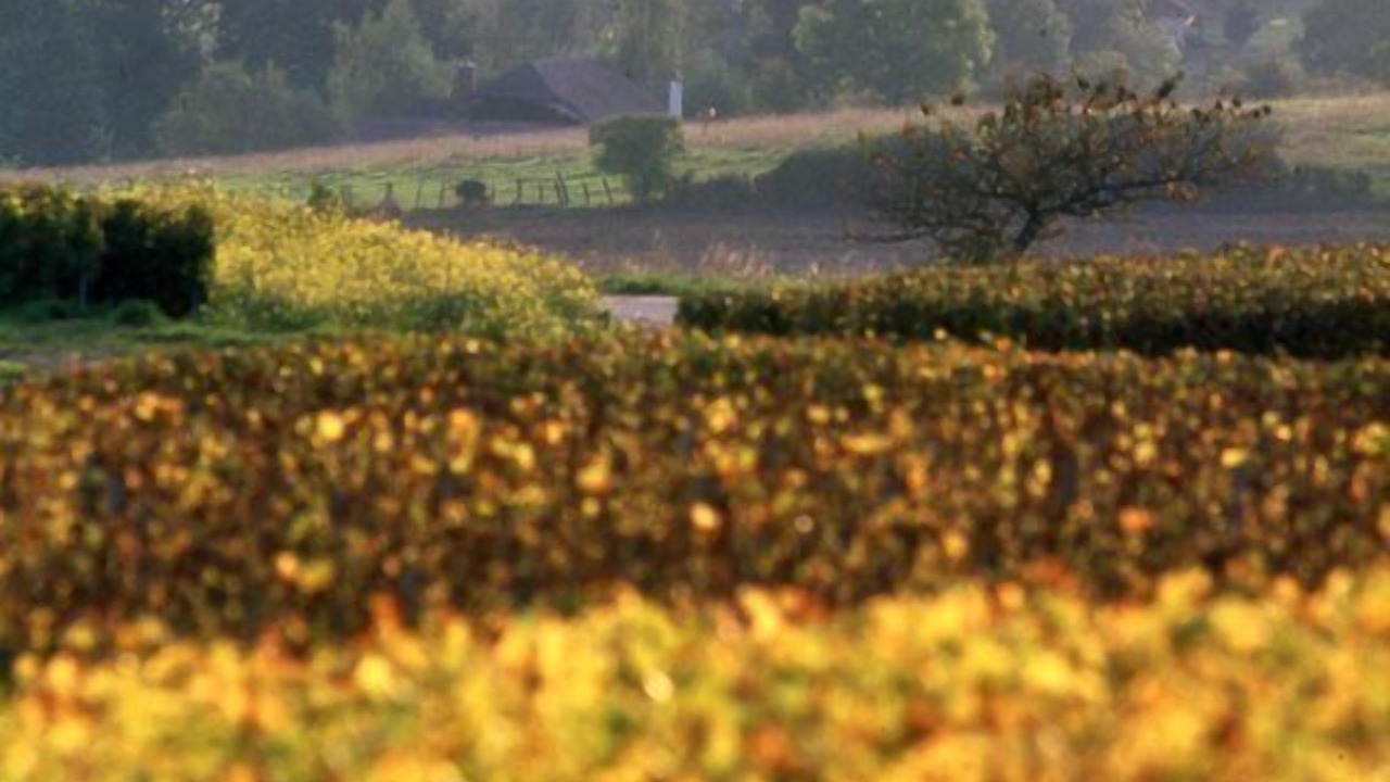 Photo of Others in Bligny