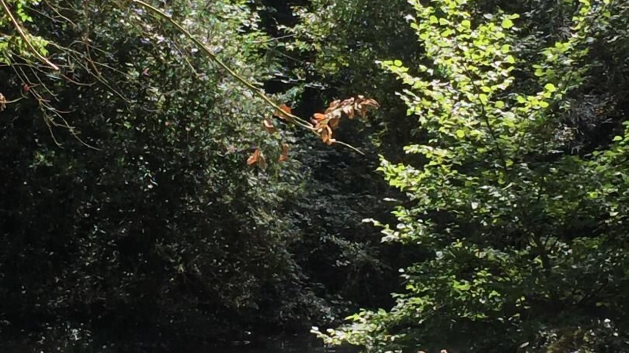 Photo of Outdoor in Les Riceys